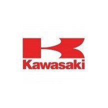 PINTURA KAWASAKI